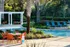 Pool | Canopy | UF Apartments