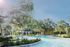 Pool | Canopy | UF Apartments