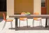 Outdoor Area | Canopy | UF Apartments