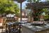 Luxurious outdoor patio with a modern grill, elegant dining area, and lush greenery under a stylish pergola.