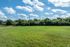 Lush open grassy field surrounded by vibrant green trees under a bright blue sky with fluffy clouds, perfect for recreational activities.