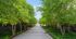 Terrapin Row | College Park, MD