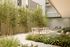 Chic outdoor patio with modern seating, surrounded by lush bamboo and vibrant greenery, featuring ambient string lights for a serene atmosphere.
