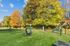 dog park