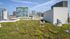 Green roof