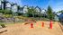 Dog park with dog obstacles