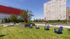 Grassy area seating