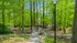Arrive Crofton Bridge over Creek with Trees Surrounding