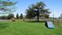 Arrive Westborough Open Dog Park