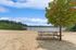 beach and bench