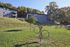dogpark