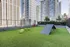 dog park