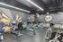 Dynamic gym with modern exercise equipment and colorful urban mural emphasizing resilience.