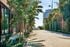 Sunlit street lined with palm trees and modern buildings, offering a vibrant and lush urban setting.