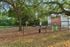 Inviting dog park with lush greenery and playful obstacles, perfect for pet owners seeking outdoor fun and relaxation.
