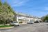 Charming townhouse community with blossoming trees, ample parking, and sunny blue skies.