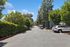Charming residential street surrounded by lush greenery and convenient parking, offering a serene living environment.