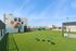 rooftop dog park