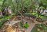 Charming courtyard view with lush greenery and shaded seating area in modern apartment complex.
