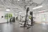 Bright and modern gym with sleek exercise equipment, artistic ceiling design, and large windows enhancing natural light.