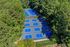 Aerial view of multiple vibrant blue tennis courts surrounded by lush green trees, offering a perfect blend of nature and recreation.