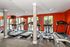 Modern fitness center with treadmills and elliptical machines, set against vibrant orange walls and large windows for natural light.