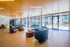 ReNew Federal Hill East Lobby with Stylish Seating and Floor to Ceiling Windows