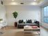 Modern living room with stylish gray sofa, vibrant throw pillows, large potted plant, and a sleek coffee table, all complemented by abundant natural light from a large window.