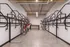 Spacious, modern bike storage room with sleek wall-mounted racks, ideal for cyclists in urban apartments.