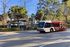 Charming apartments surrounded by lush greenery; leasing now with convenient Seminole Express bus service.