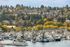 Charming harbor view with vibrant boats and a backdrop of colorful autumn trees and hillside homes.