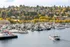 Scenic view of a bustling marina filled with boats against a backdrop of vibrant autumn foliage and hillside residences.