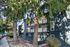 Charming apartment building nestled among verdant trees, featuring a modern exterior with spacious balconies and lush surroundings.