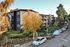 Charming apartment building surrounded by lush greenery and autumn trees, offering a cozy and serene living environment.