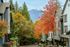 Charming residential scene showcasing quaint townhouses nestled amongst vibrant autumn foliage, with a stunning mountain backdrop.
