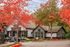 Charming residential community surrounded by vibrant autumn foliage, featuring modern architecture and serene natural beauty.