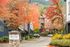 Charming apartment complex surrounded by vibrant autumn foliage and picturesque mountain views.