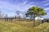 Inviting fenced dog park with lush green grass, vibrant blue sky, and modern residential backdrop.