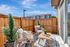 Charming private patio with cozy seating, lush greenery, and a warm wooden fence backdrop under a bright blue sky.