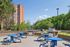 Inviting outdoor patio with vibrant blue picnic tables and modern grills, set against lush greenery and a stylish brick apartment building.
