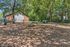 Charming fenced pet play area with agility equipment amidst lush greenery, perfect for outdoor fun.
