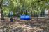 Charming park area for dogs, nestled beneath lush green trees, providing a serene environment for pet-friendly townhomes.