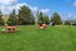 Vibrant community park featuring a lush green lawn, playful red picnic tables, and exciting dog agility equipment under a clear blue sky.