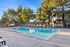 Inviting outdoor pool area with lounge chairs, surrounded by lush greenery and a fun playground, perfect for families.