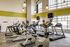 Modern fitness center with state-of-the-art cardio machines and large windows for natural light.