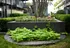 Grounds