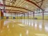 Full Sized Basketball Court