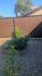 186-1B Backyard