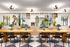 Vibrant coworking space featuring modern wooden tables, stylish green lamps, and a backdrop of lush indoor plants and books.