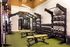 Modern gym with state-of-the-art fitness equipment, featuring free weights, punching bag, and benches on stylish green flooring.